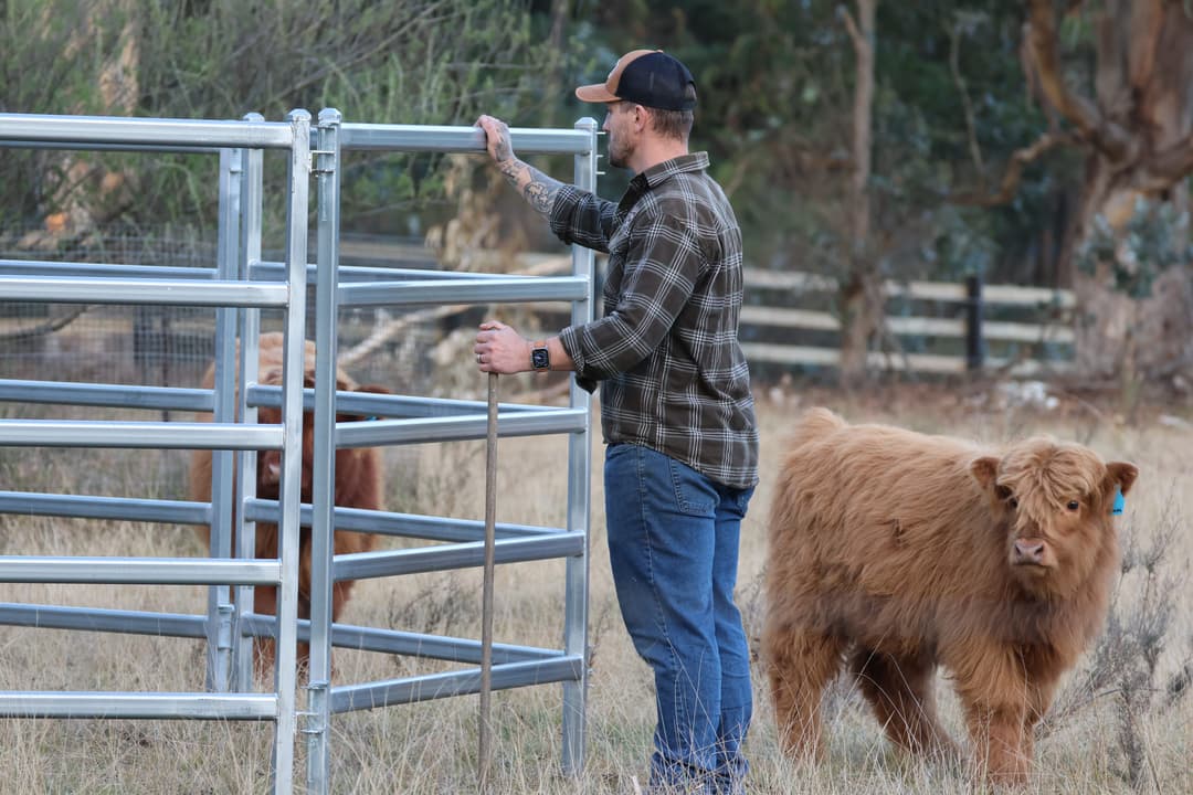 f47689ea4f11e32851d95c1556c39773183d6460