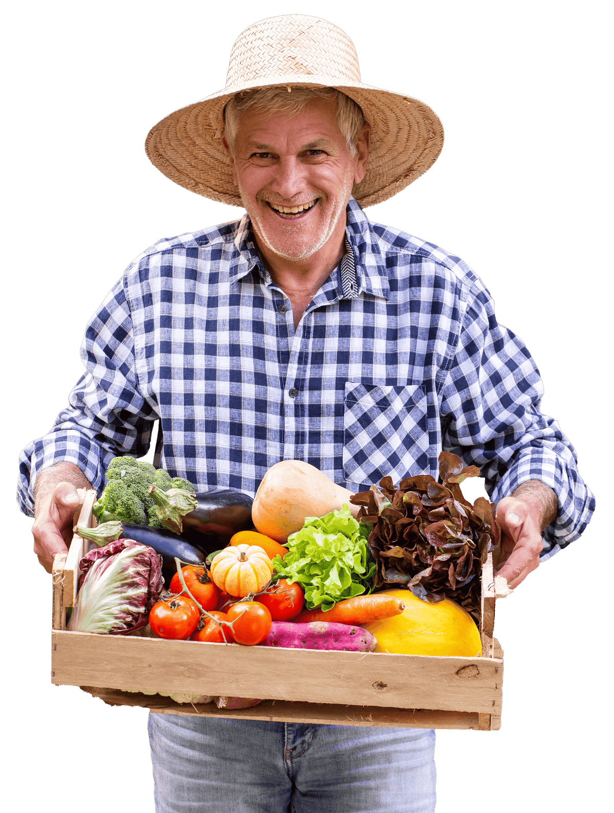 man-holding-basket-with-healthy-organic-vegetables-plantation-background